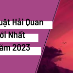 Luật Hải Quan Mới Nhất Năm 2023