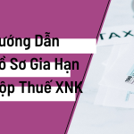 Hướng Dẫn Quy Định Về Hồ Sơ Gia Hạn Nộp Thuế Xuất Nhập Khẩu