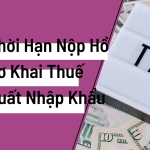 Thời Hạn Nộp Hồ Sơ Khai Thuế Xuất Nhập Khẩu