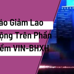 Hướng Dẫn Báo Giảm Lao Động Trên Phần Mềm VIN-BHXH