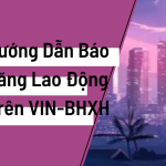 Hướng Dẫn Báo Tăng Lao Động Trên Phần Mềm VIN-BHXH