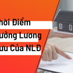 Thời Điểm Hưởng Lương Hưu Của Người Lao Động