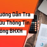 Hướng dẫn tra cứu thông tin đóng BHXH tự nguyện, BHYT online